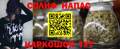 молекула духа Вязьма